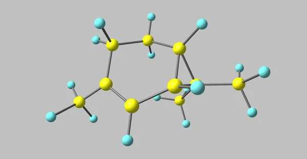 蒈烯或 Delta Carene 是由熔融环己烯和丙烷环组成的笼单萜 蒈烯有一种甜味和刺鼻的气味 — 图库照片