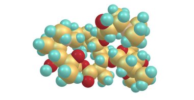 Azitromisin bakteriyel enfeksiyonların sayısı tedavisi için yararlı bir antibiyotiktir. Orta kulak enfeksiyonları, strep boğaz, pnömoni, traveler's ishal içerir. 3D çizim