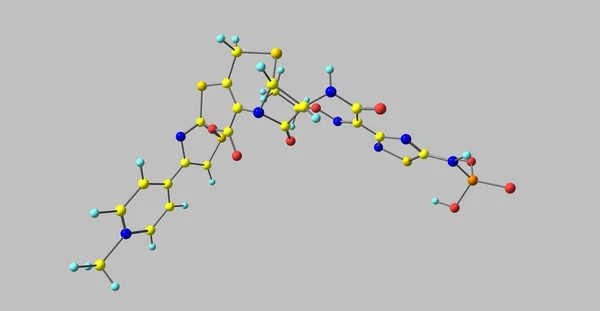 Ceftaroline 是第五代抗生素 它对耐甲氧西林金黄色葡萄球菌和其他革兰氏阳性菌有积极作用 — 图库照片