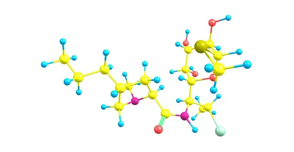 Clindamycin은 감염의 치료에 Lincosamide 항생제 일러스트 — 스톡 사진