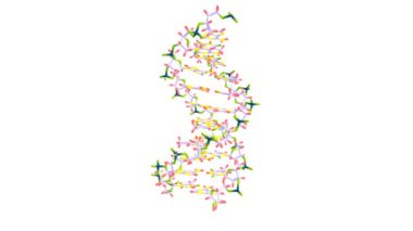DNA molekülünün beyaza döner