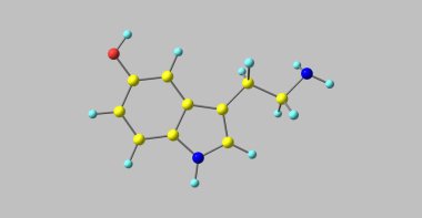 Serotonin ya da 5-hydroxytryptamine bir monoamin nörotransmitter ve halk refah ve mutluluk için bir katkıda olduğu düşünülmektedir. 3D çizim