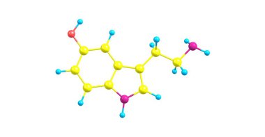 Serotonin ya da 5-hydroxytryptamine bir monoamin nörotransmitter ve halk refah ve mutluluk için bir katkıda olduğu düşünülmektedir. 3D çizim