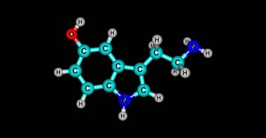 Serotonin ya da 5-hydroxytryptamine bir monoamin nörotransmitter ve halk refah ve mutluluk için bir katkıda olduğu düşünülmektedir. 3D çizim