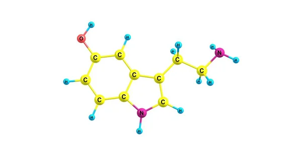 Serotonina Hidroxitriptamina Neurotransmisor Monoamínico Cree Popularmente Que Contribuye Los Sentimientos —  Fotos de Stock