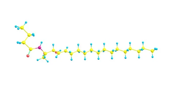 Ceramidok Egy Család Viaszos Lipid Molekulák Ceramid Egy Molekula Szfingozin — Stock Fotó