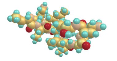 Kolistin veya polimiksin E bakteri Paenibacillus polymyxa belirli suşları tarafından üretilen bir antibiyotiktir. 3D çizim