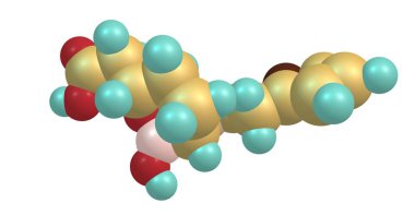 Vaborbactam bir sigara-beta-laktam beta-lactamase inhibitörü olduğunu. 3D çizim