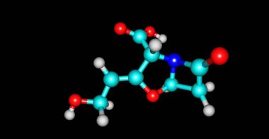 Clavulanik asit rekabetçi inhibitörü olan beta-lactamase olduğunu. 3D çizim