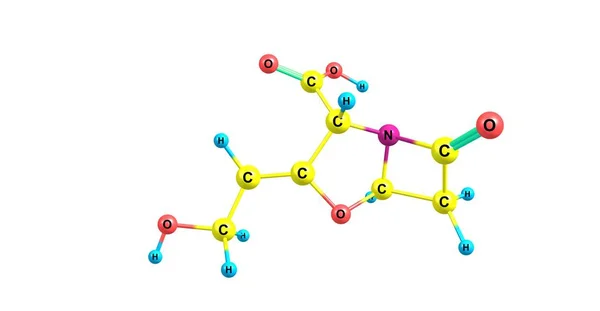 Ácido Clavulánico Inhibidor Competitivo Beta Lactamasa Ilustración —  Fotos de Stock