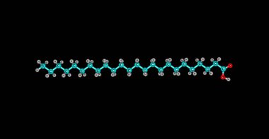 Lignoceric veya tetracosanoic asit. Bu ahşap tar, çeşitli cerebrosides ve en doğal yağlar küçük miktarlarda bulunur. 3D çizim