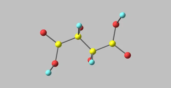 Estrutura molecular do ácido tartárico isolado em cinza — Fotografia de Stock