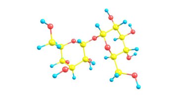 Trehalose iki glikoz molekülünden oluşan bir şekerdir. Aynı zamanda mitoz ya da tremalose olarak da bilinir. 3d illüstrasyon