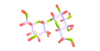 Trehalose iki glikoz molekülünden oluşan bir şekerdir. Aynı zamanda mitoz ya da tremalose olarak da bilinir. 3d illüstrasyon