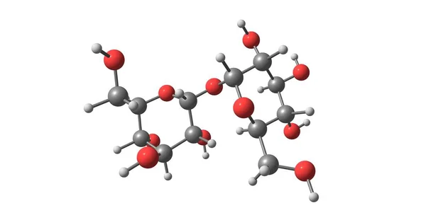 Trehalosa Azúcar Que Consiste Dos Moléculas Glucosa También Conoce Como —  Fotos de Stock