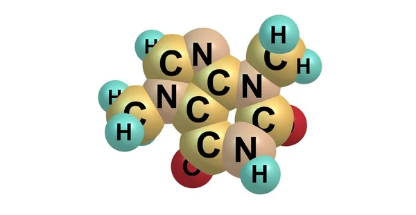 Théobromine Xanthéose Est Alcaloïde Amer Plante Cacao Illustration — Photo