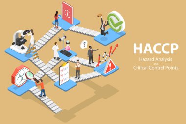 3B Isometric Tehlike Analizi ve Kritik Kontrol Noktaları Vektör Kavramı