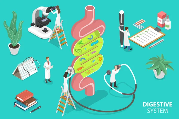 Flora del intestino humano, sistema digestivo saludable. Ilustración plana isométrica 3D del vector. — Archivo Imágenes Vectoriales