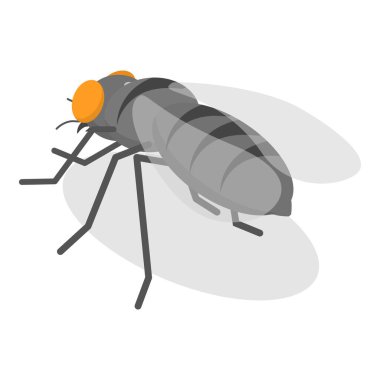 Üç boyutlu Isometric Düz Sinekler Kümesi, Sinek Sinekleri İçinden Uçan Sinekler. Madde 3