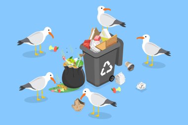 3 Boyutlu Isometric Martıların Çöp Yiyen Süprüntüleri, Atık Manlarda Yemek Yiyen Kuşlar.