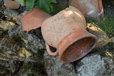 Yeşil çimenlerin üzerinde kırık bir sürahi.