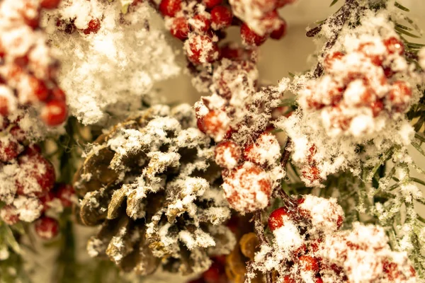 Winterhintergrund mit schneebedeckter Eberesche und Fichtenzweig mit Zapfen. Fichtenzweige, Tannenzapfen und rote Beeren im Schnee bei Kälte. Weihnachtsstillleben. — Stockfoto