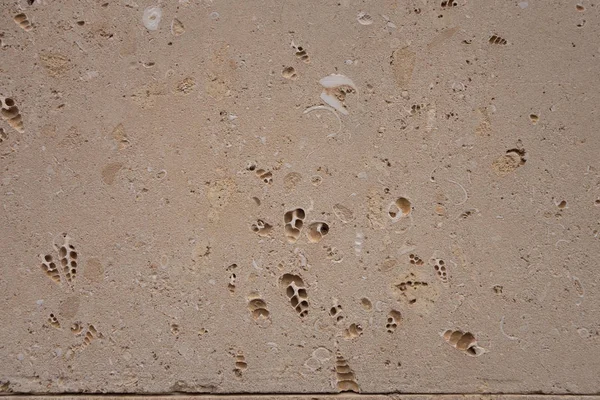 Kokina Hintergrund alte fossil.Bausteine aus Sandstein. Grobe Textur der Ziegel aus Sand und Muscheln. — Stockfoto