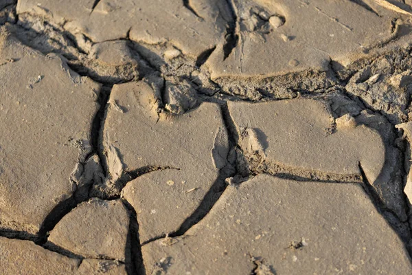 Cracked soil in the sun. Desert. Drought. Saline.