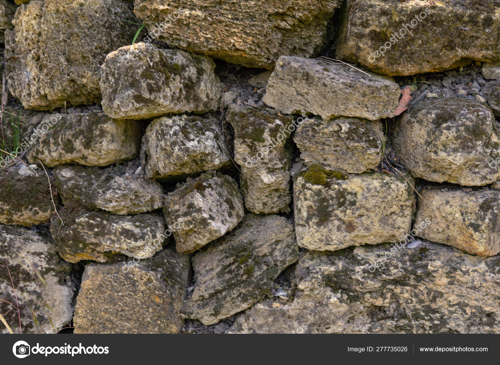 Голландская защита каменная стена