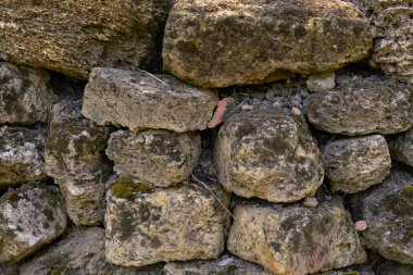 Eski taş duvar yosun ile kaplıdır. Doğal bir taş. Vintage yaratıcı arka plan.
