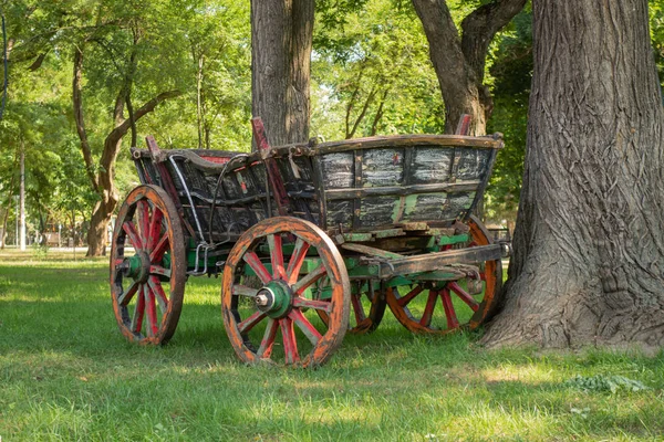 Vintage horse cart in a city park among old trees and green lawn