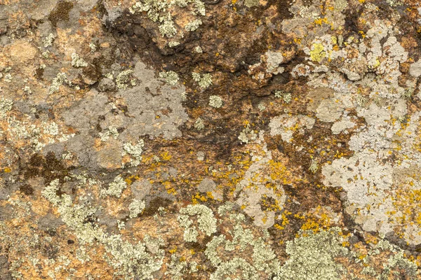 Textura de granito velho coberto com musgo. Criativa vintage backg — Fotografia de Stock