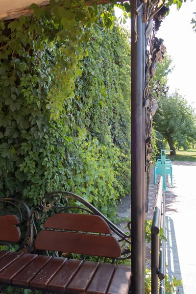 Padělané lavice a plot na pozadí zelených keřů. Pogroun — Stock fotografie