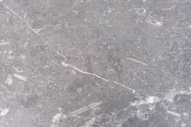 Beyaz damarlı doğal beton yapısı. Doku 