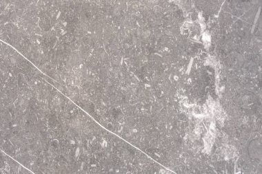 Beyaz damarlı doğal beton yapısı. Doku 