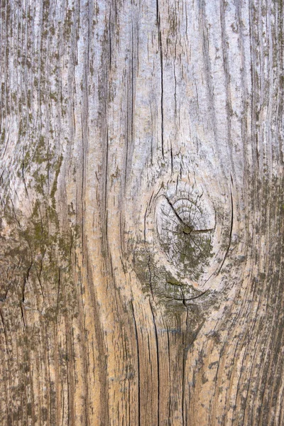 Kerítés a régi viharzott fenyő táblák. Textúra a természetes korú fa. Woodworm lyukak, rozsdás körmök. Kreatív Vintage háttér. — Stock Fotó
