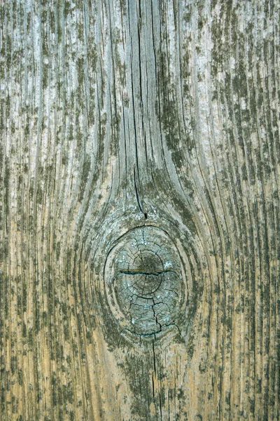 Fence from old weathered pine boards. Texture of natural aged wood. Woodworm holes, rusty nails. Creative vintage background. — Stock Photo, Image