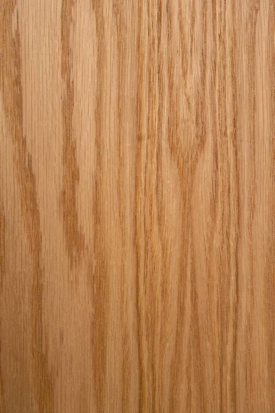 Oak plank. The structure of natural oak. A tangential cut of a t