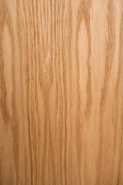 Oak plank. The structure of natural oak. A tangential cut of a t