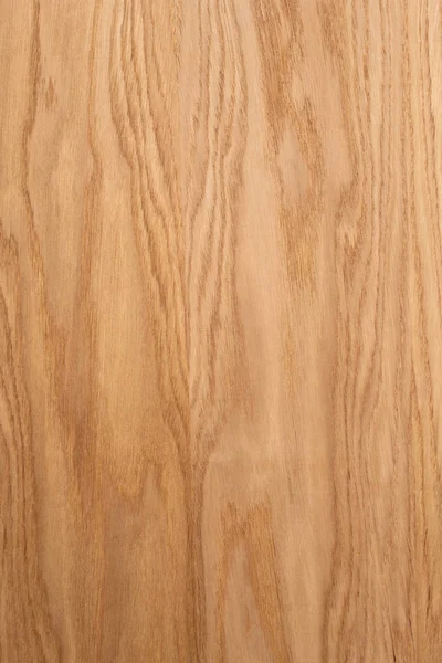 Oak plank. The structure of natural oak. A tangential cut of a t