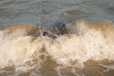 10 yaşında bir çocuk yeşil yüzme gözlükleriyle deniz kenarında yüzüyor ve eğleniyor.