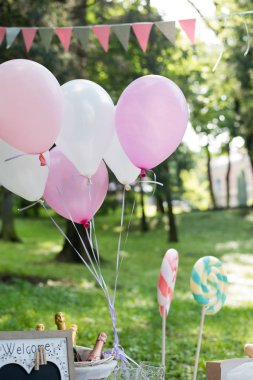 Piknik süslemeler, cannotier, çiçek, meyve. Çimenlerin üzerinde parkta piknik: masa örtüsü, sepet, sağlıklı yiyecek ve aksesuarları, ana sayfa görünümü, ekmek, baget, alkol, büyük lolipop. Kek, sweets. Mutlu tatiller arkadaşlar kavramı. Kadın parti.