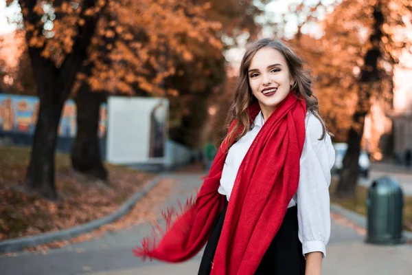 Ritratto Strada Giovane Bella Donna Che Indossa Eleganti Vestiti Classici — Foto Stock