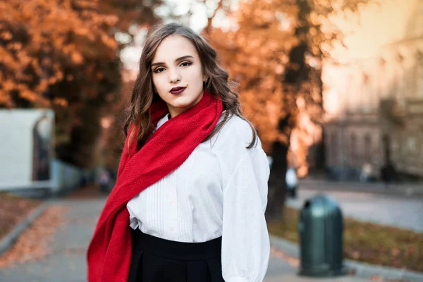 Retrato Rua Jovem Mulher Bonita Vestindo Roupas Clássicas Elegantes Modelo — Fotografia de Stock