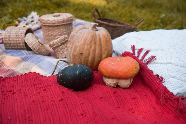 Ein Rustikales Herbststillleben Mit Kürbissen Korb Ernte Oder Erntedank — Stockfoto