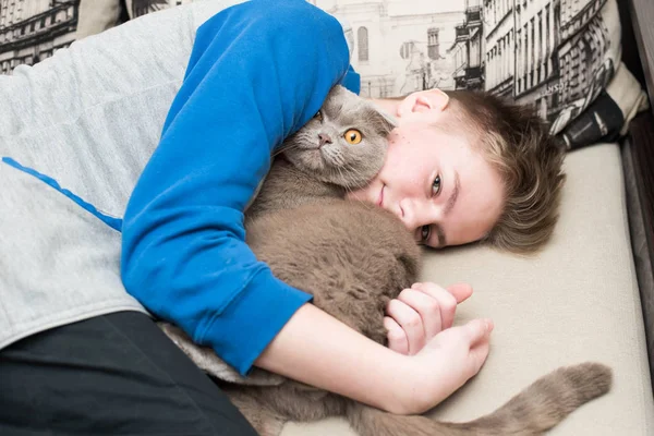 Schotse fold kat thuis met eigenaar. — Stockfoto