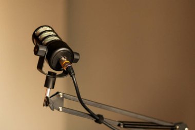 Yüksek kaliteli bir mikrofon, ayarlanabilir bir kolun üzerine yerleştirilmiş, podcast kaydı için hazır. Samimi stüdyo ayarı, temiz ses üretimi için ideal bir atmosfer sağlıyor..
