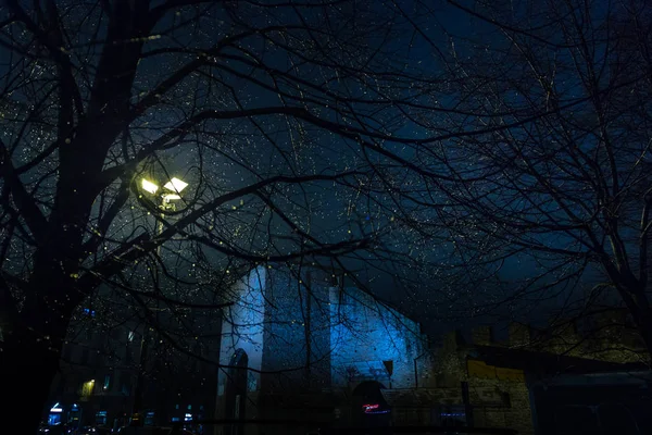 Gocce Pioggia Ramo Illuminato Lampioni Notturni Con Una Chiesa Sullo — Foto Stock