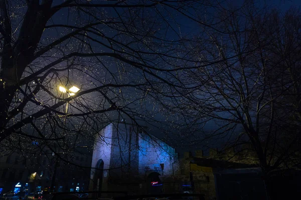 以教堂为背景的夜间路灯照亮的树枝上的雨滴 — 图库照片