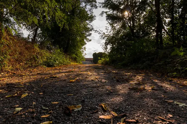 Kırsal bir yolda fotoğrafı